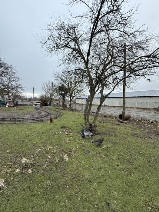 Продава се Къща в с. Гурково, Област Добрич - 99 кв.м за 180 €/кв.м - Снимка #2