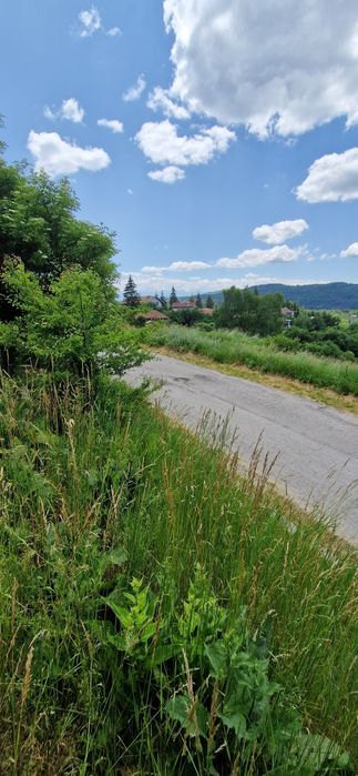 Продава се Парцел в с. Плана, Област София-град - 1000 кв.м за 70 €/кв.м - Снимка #6