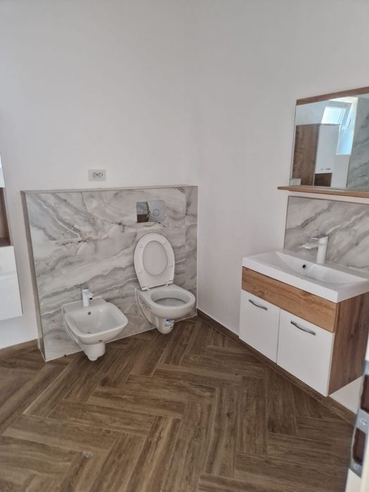 Casa individuala de vanzare sanmihaiu roman