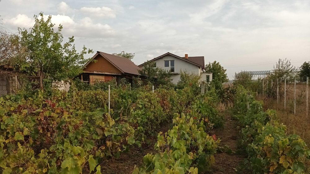 Moara Vlasiei , Casa cu teren 4250 m2