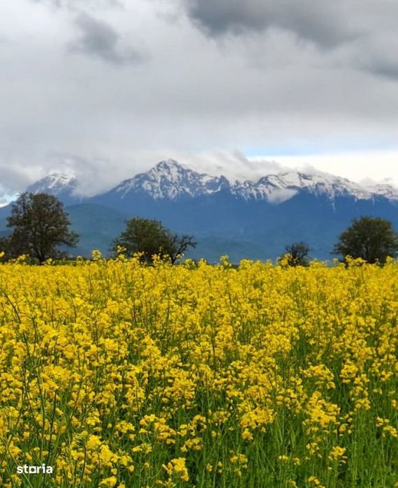 Teren cu utilitati in capatul strazii Bucegi