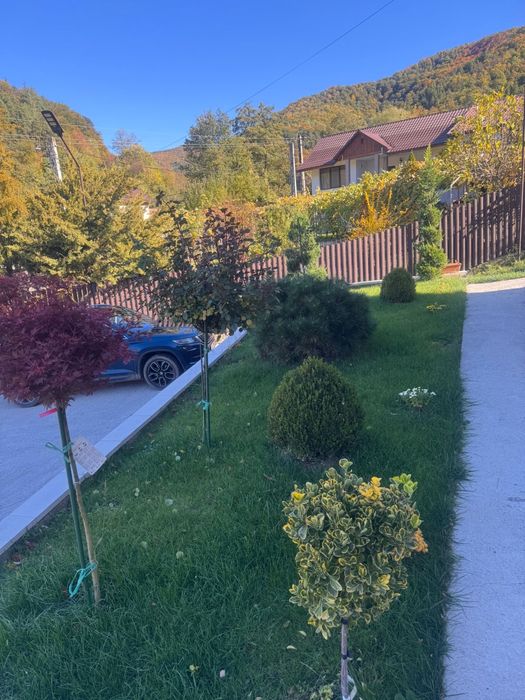 Cazare Calimanesti Caciulata