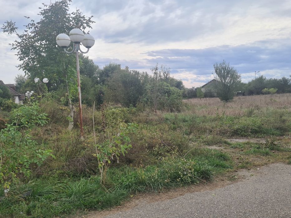 Vand teren 2700 m industrial Bacia