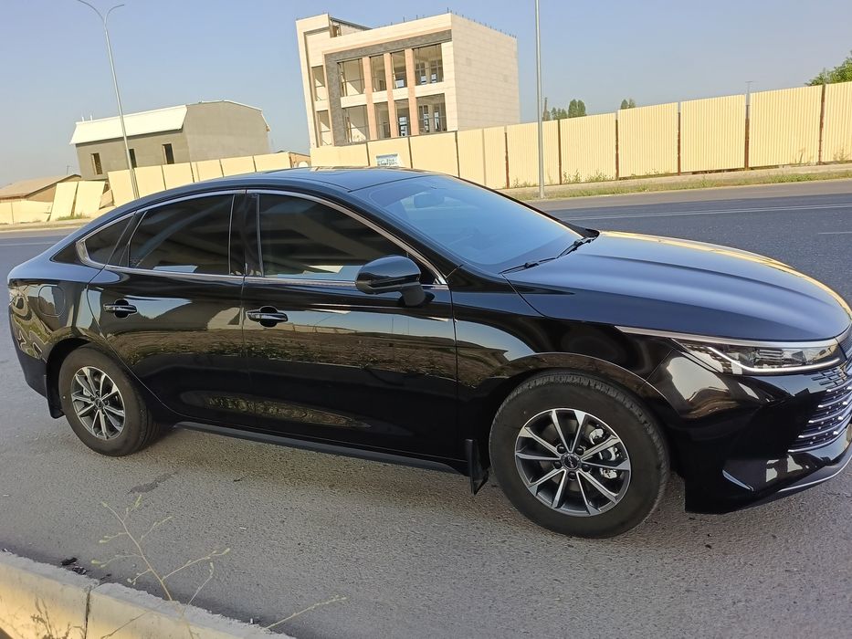 BYD Chazor 2024 люкли