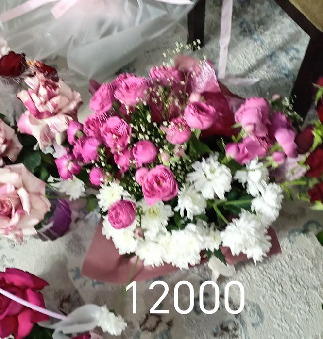 Продам цветы дешево