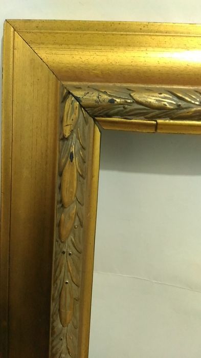 Rama aurie, dimensiune medie