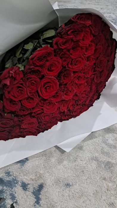 101 роза новые красивые