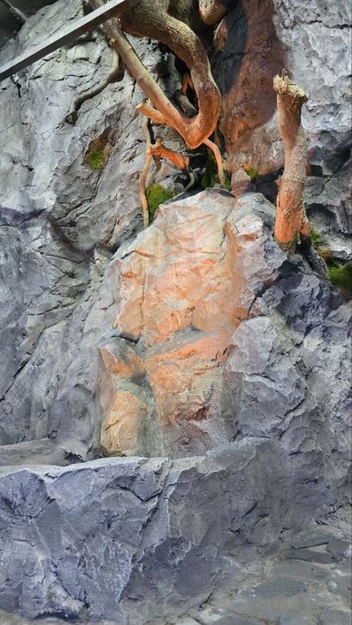 Вольер кафас декоративные 

#водопад 
#вольер
#искусственныйк