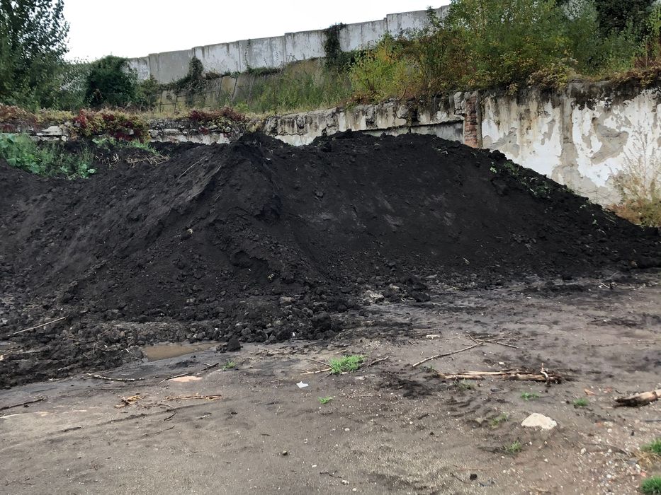 Pamant negru vegetal pentru gazon