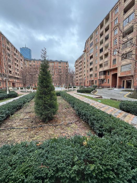 Парисьен parisien яккасарайский район