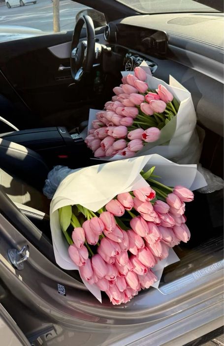 Тюльпаны, тюльпаны розница и опт