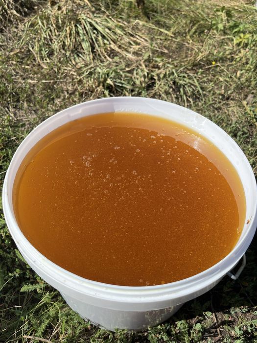 Свежий мёд с ДОСТАВКОЙ