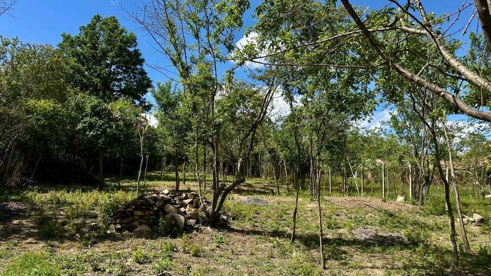 Продава се Парцел в с. Велковци, Област Габрово - 930 кв.м за 14 €/кв.м - Снимка #1