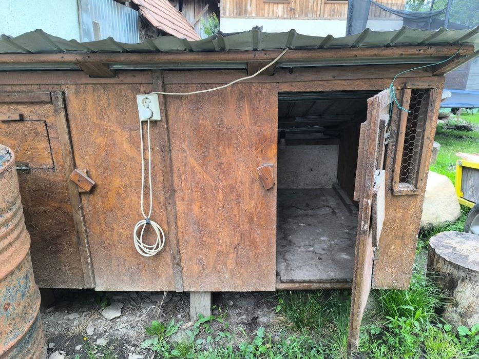 Cușcă (puierniță)