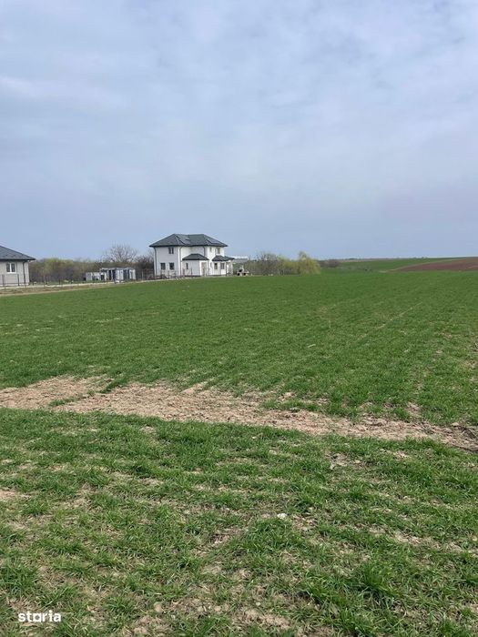 Teren 377 MP | Darasti Vlasca Adunatii Copaceni | Giurgiu