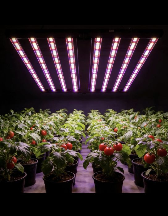 LED Grow Light Full Spectrum 320W Для Всех Видов Растений, ЛАМПА ЛЭД