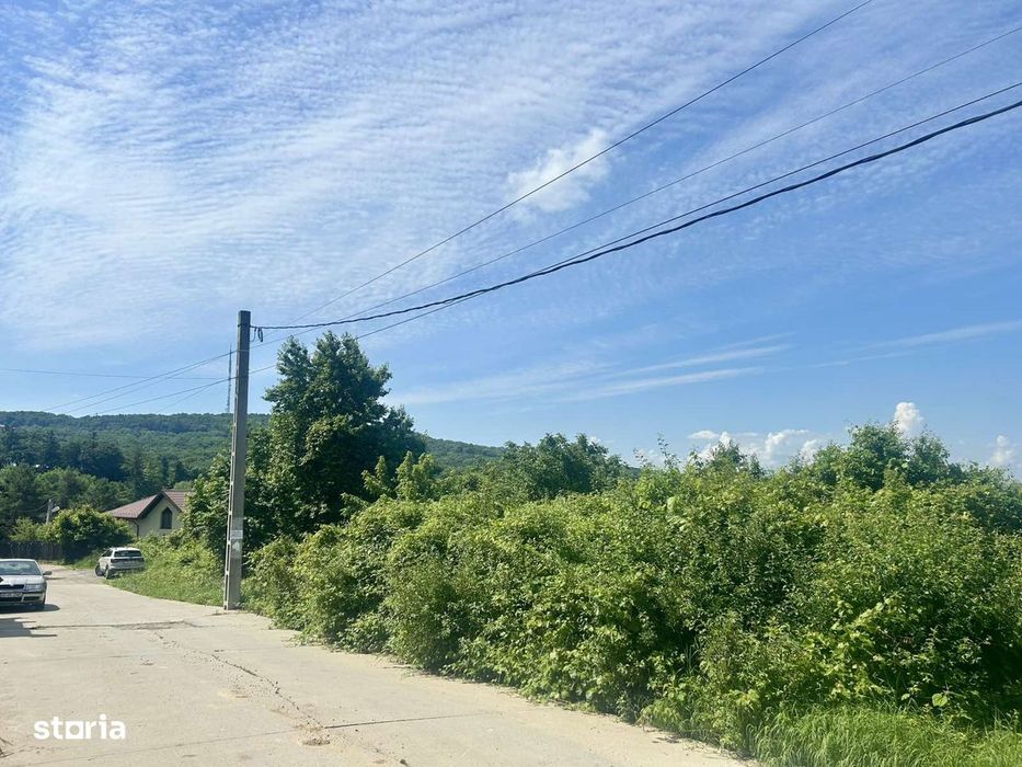 Teren intravilan 2778 mp Bucium Iași, Dublă deschidere 45 m la asfalt