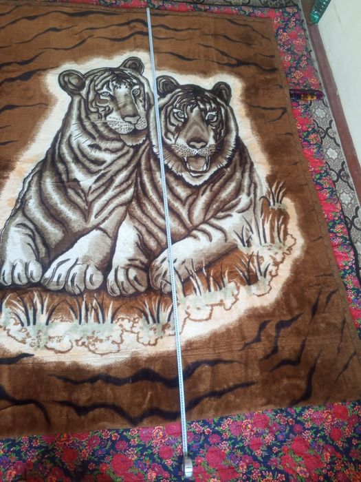 Адёл Сотилади калин