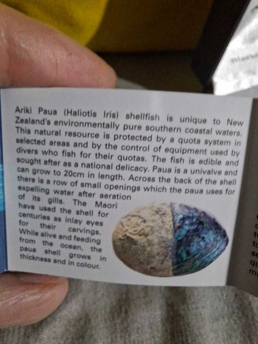 Set colier și cercei cu scoică naturală și suflate cu aur
