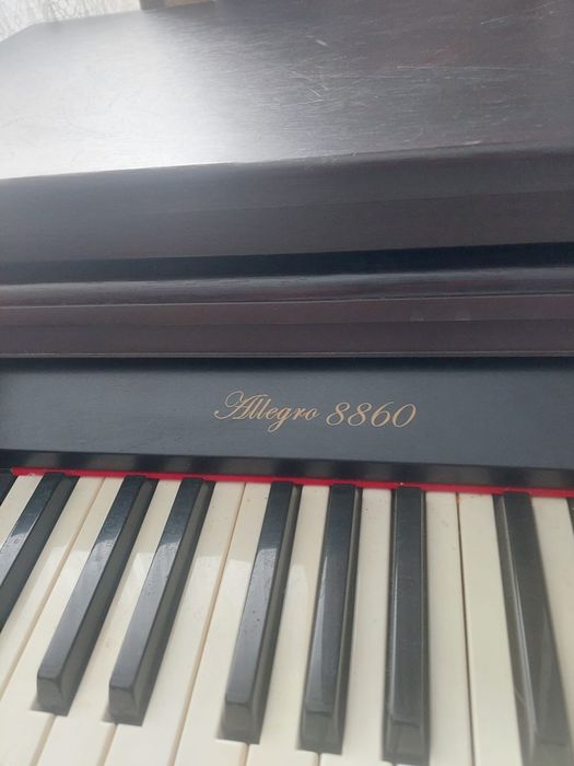Pian digital Allegro 8860 de vânzare
Pian 
Pian digital Allegro 8860 d