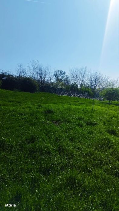 Teren intravilan de vânzare – Grădiștea, Ilfov, Aleea Primăriei