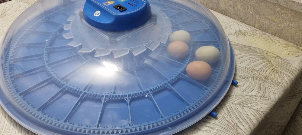 Inkubator Avtomat 52 talik Yengi