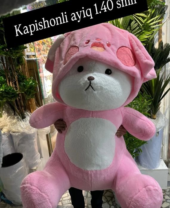 Teddi teddy+uchar shar (Dostavka)