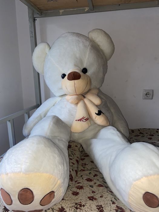 Алматы қаласы мишка сатылады