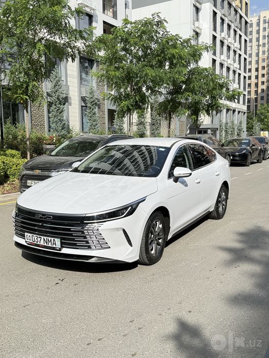 BYD CHAZOR 2024 55km