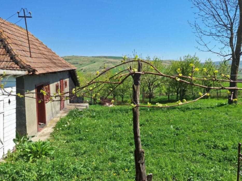 Vând sau schimb cu garsoniera casă în Ceanu Mare(Valea lui Cati)