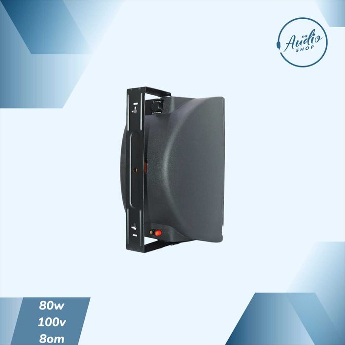 Пассивная настенная колонкa для фоновой музыки 80wat