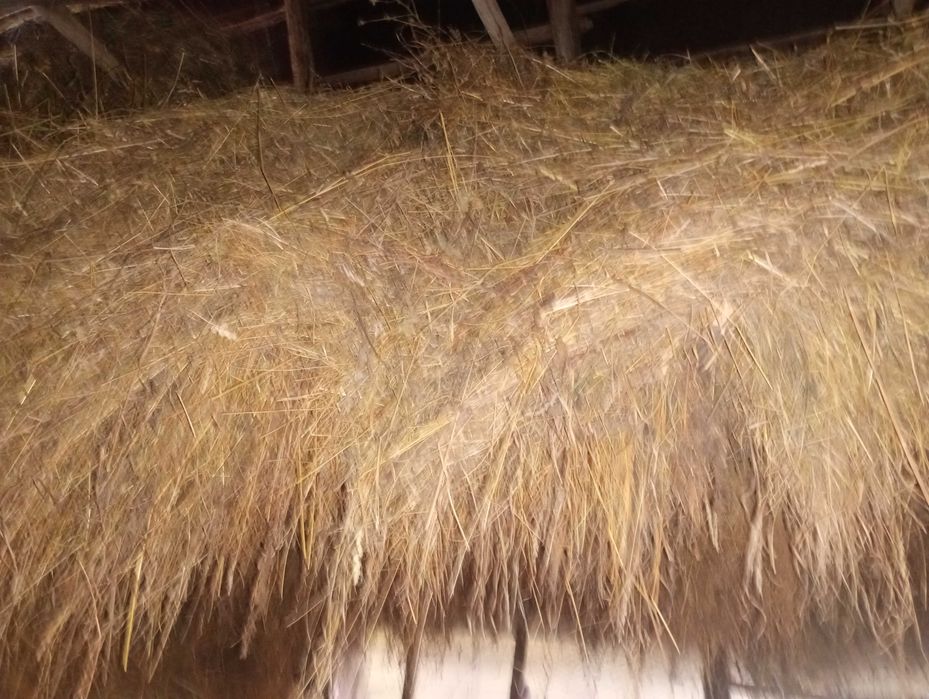 Vând fân de gradina