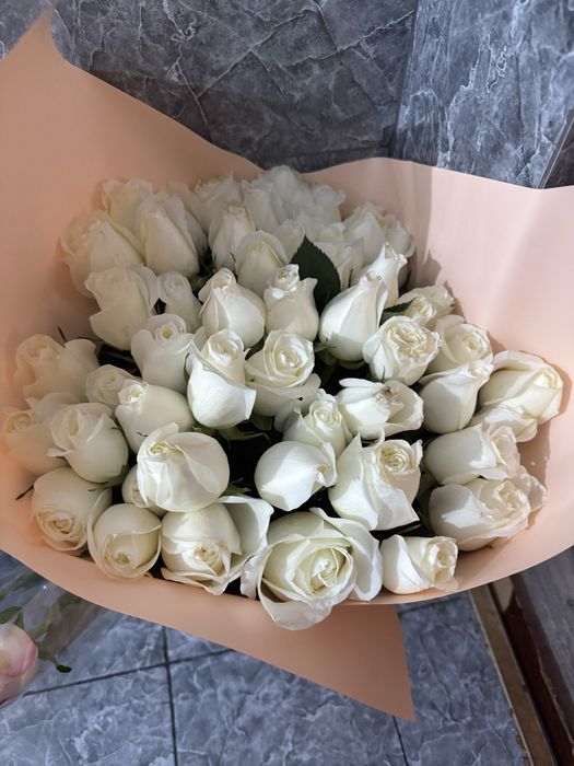 51 белые Роза 80