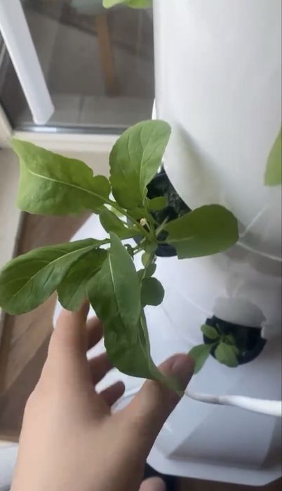 Хидропонна кула Tower Garden Juice Plus + LED осветление за отглеждане у дома