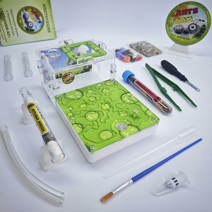 ГИПСОВЫЙ Формикарий "START" ||| Муравьиная ферма - Муравьи жнецы