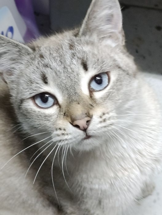 Слава ждёт своего человека.