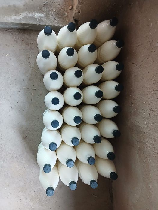 Қолдың айраны бар