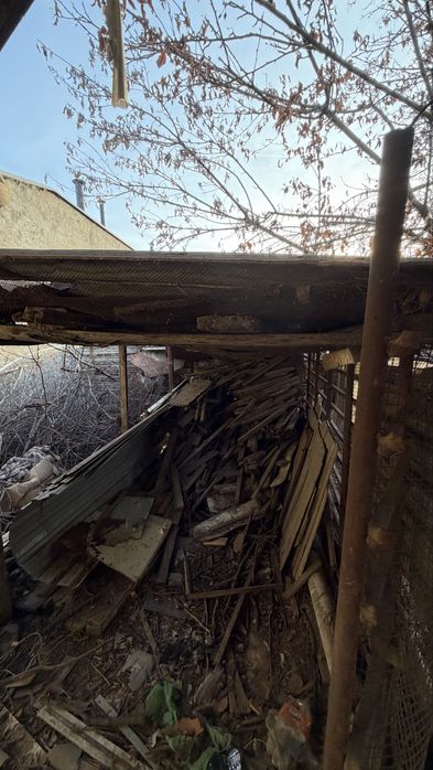 Продаю деревья, бревна, доски,