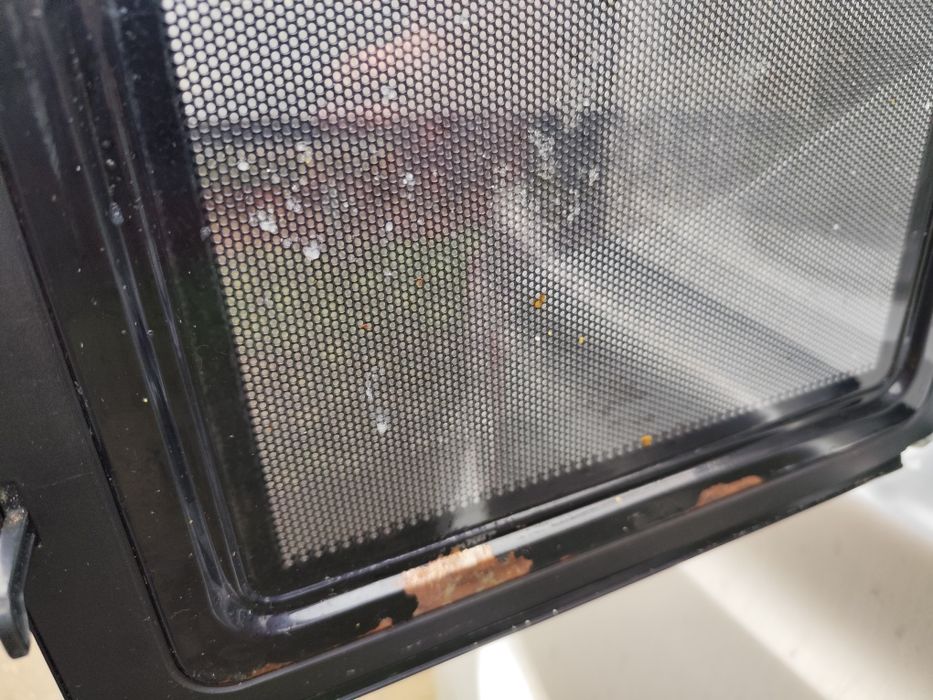 Placa fierbinte FIF, cuptor cu microunde Daewoo