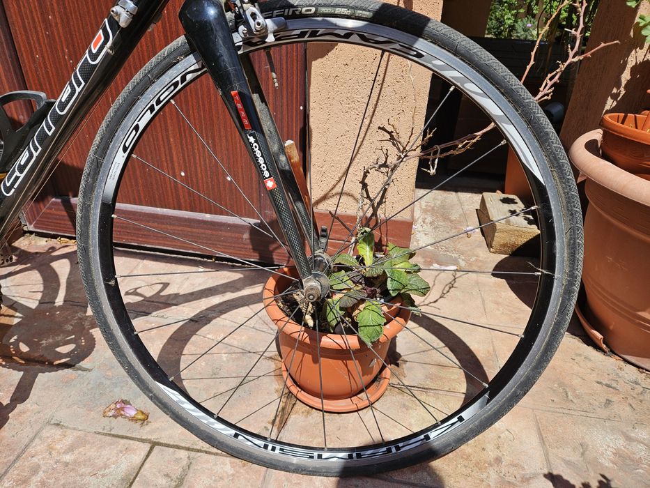 Cursieră Carbon Carraro 52cm – Shimano 105 – Componente Ritchey – Anvelope NOI