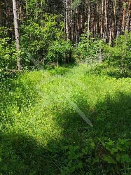 Парцел Гълъбово 84834