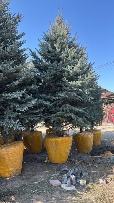 Начался сезон посадки!!!