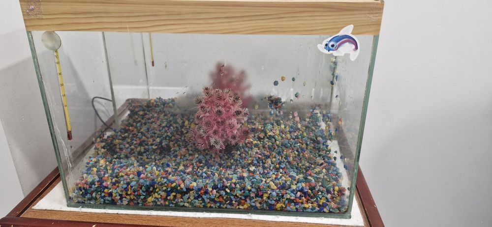 Аквариум в комплекте