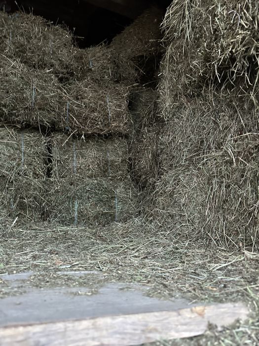 Baloti de otava vanzare