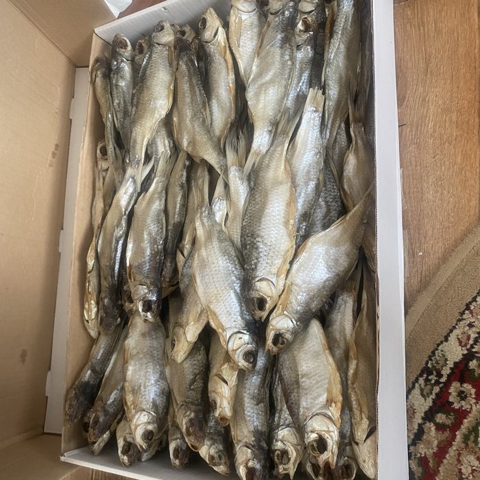 Бовла свежая.