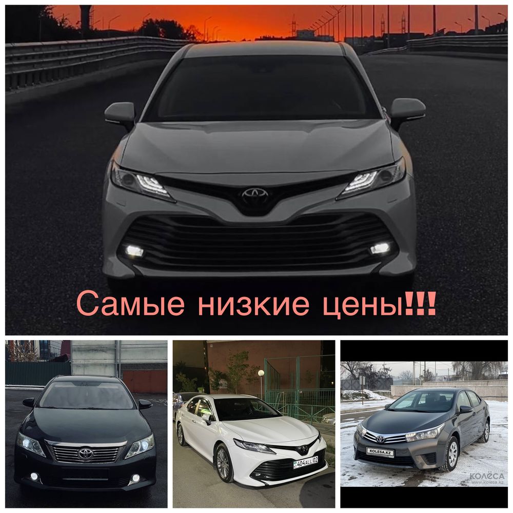 Аренда авто, Авто Аренда, Прокат авто, Автопрокат - Автокөлікті жалға алу  Алматы на Olx