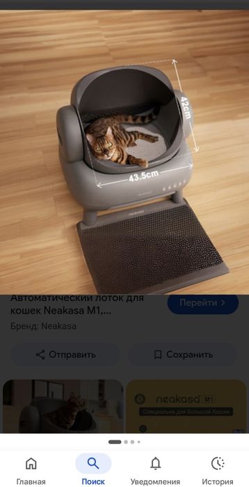 Туалет для кошек.