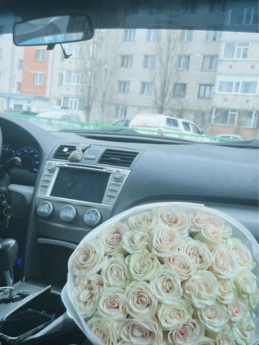 Роза 32 шт свежий