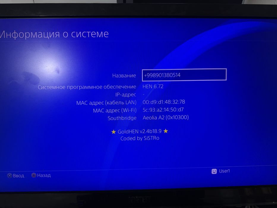 PlayStation 4 500GB 6.72 GOLDHEN