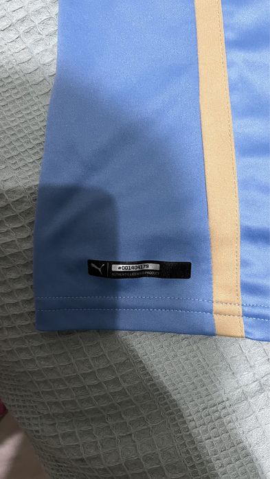 Футболка Уругвай Puma original